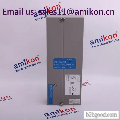 514000669100 帕勒姆杜尔