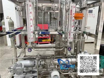 氢燃料公司/成熟技术