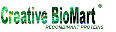 7-AAD/CFSE Комплект для анализа цитотоксичности с использованием клеток
