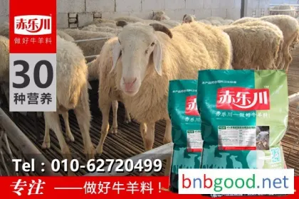 赤乐川 Y640 育肥羊 быстрый откорм корм