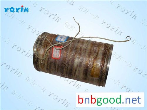 Гарантированный качественный электромагнит X300H-413000A