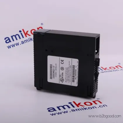 ОБЩИЙ ЭЛЕКТРИЧЕСКИЙ ДS200LDCFBG1BNC/DS200LDCFBG1BNC