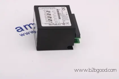 ОБЩИЙ ЭЛЕКТРИЧЕСКИЙ ДS200SHVMG1A / DS200SHVMG1A