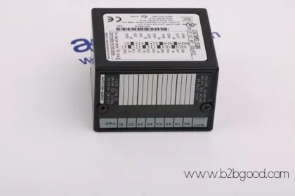 ОБЩИЙ ЭЛЕКТРИЧЕСКИЙ ДS200SHVMG1A / DS200SHVMG1A