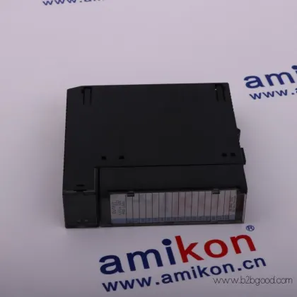 Представитель контента: IC693PWR330