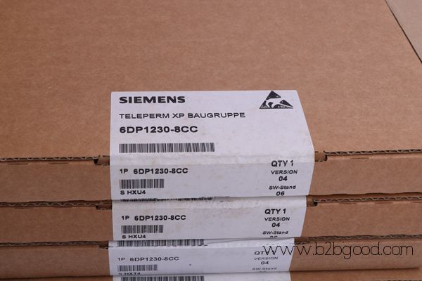 SIEMENS 6DD1606-0AD1