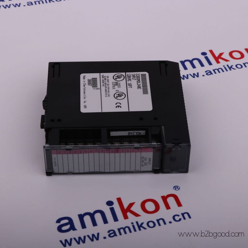 IC693ACAC306 (Подпись)