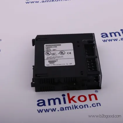 IC693ACAC317 (Подпись)