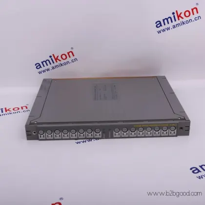 ICS TRIPLEX T3481