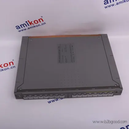 ICS TRIPLEX T8100