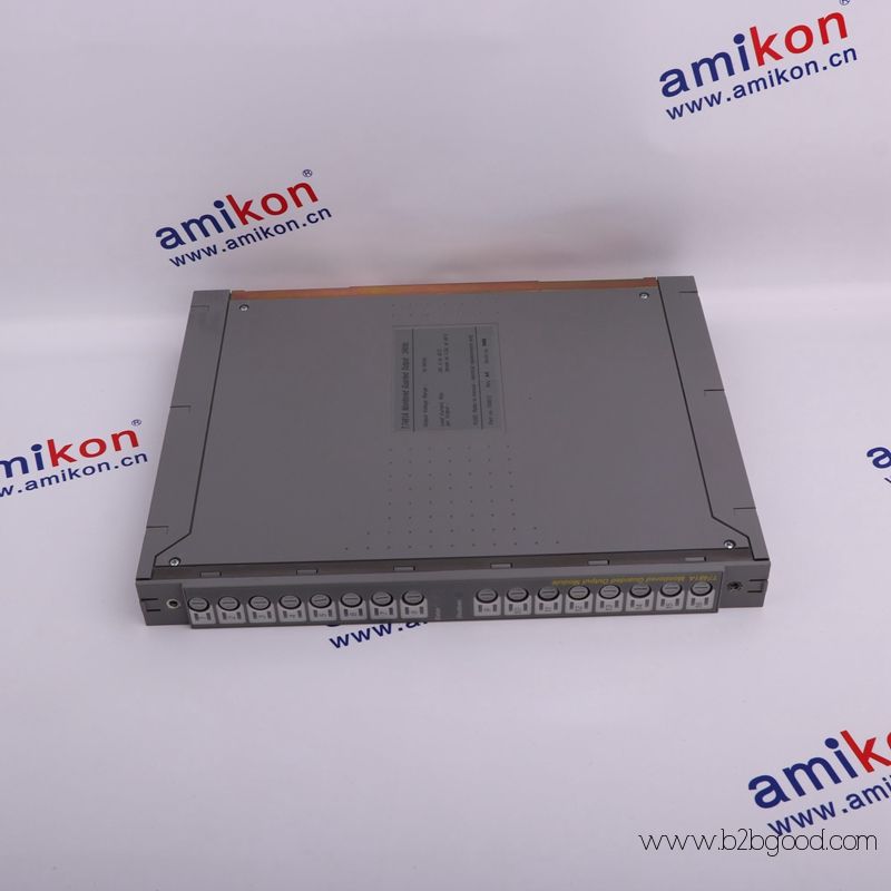 ICS TRIPLEX T8110B