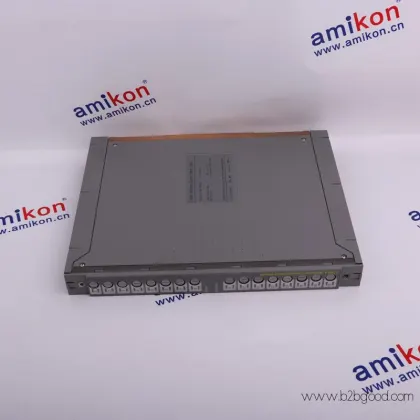 ICS TRIPLEX T8110B