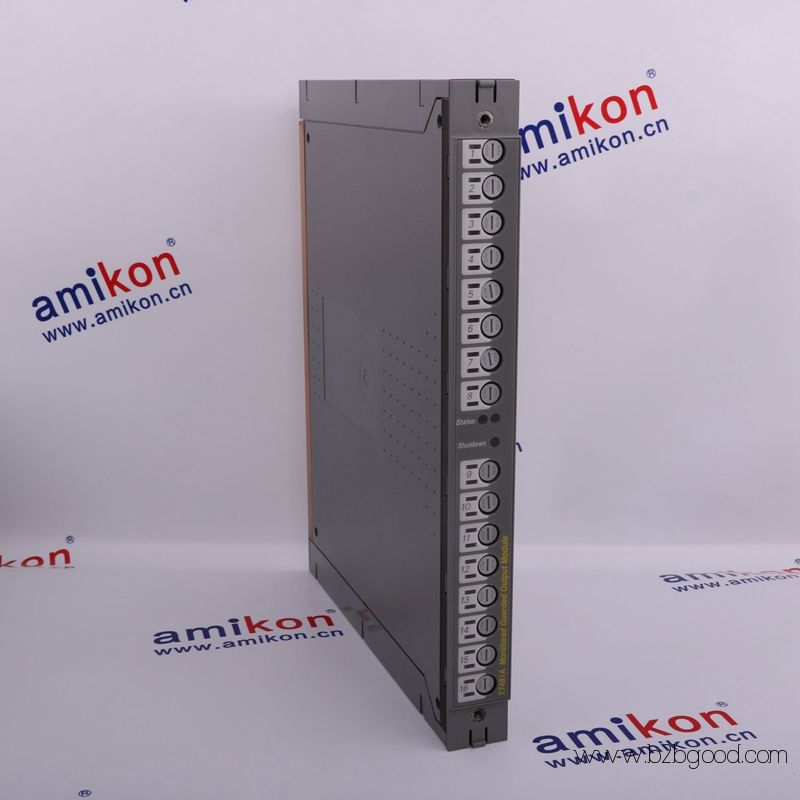 ICS TRIPLEX T8310