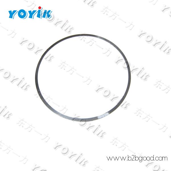 bladder with seal kit NXQ-A-10/10-L-Y for power generation